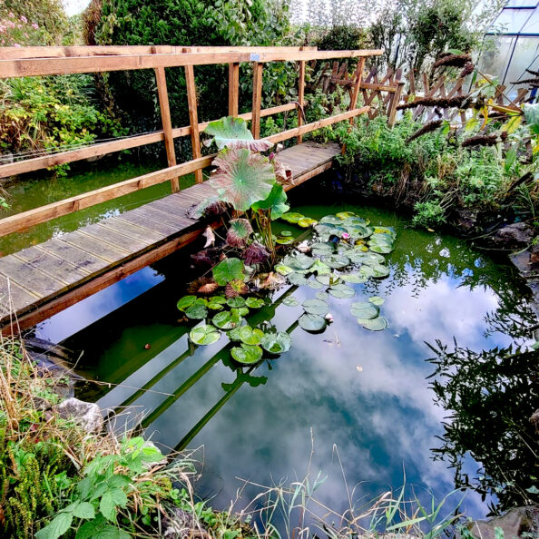 bassin2-paysages-et-bassins