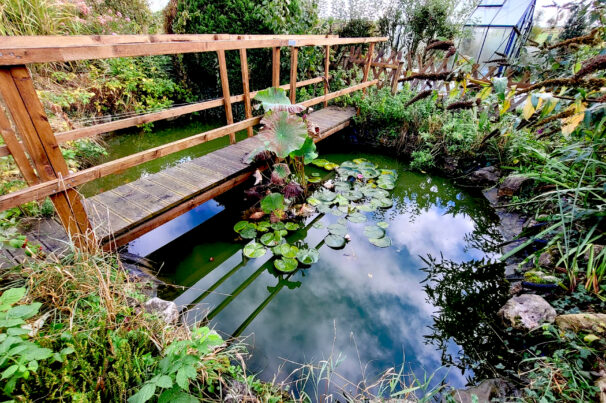 bassin2-paysages-et-bassins bassin2-paysages-et-bassins